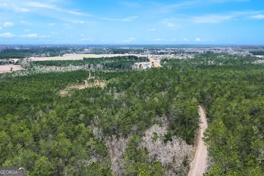 TRACT 1 Wheaton Road, Odum, GA 31555 - #3