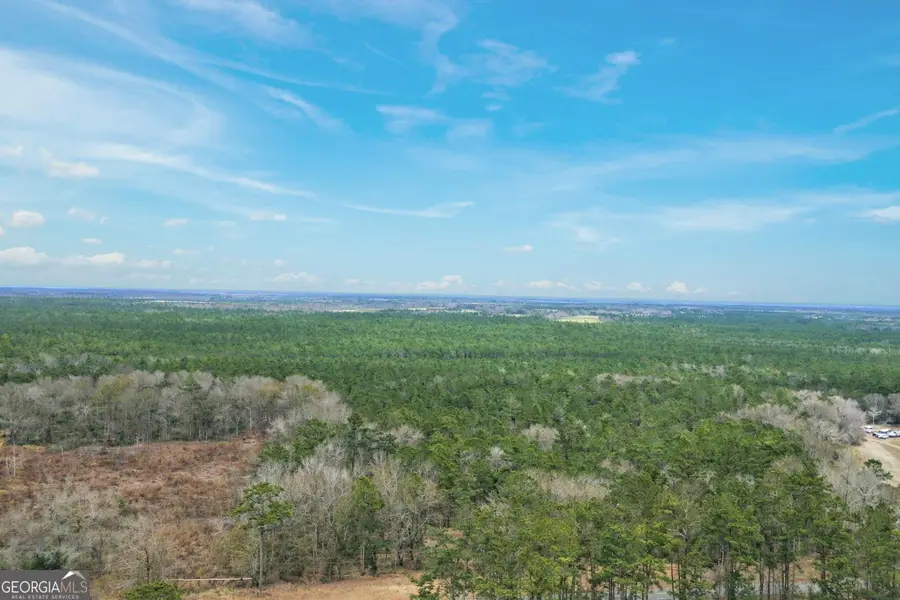 TRACT 2 Tank Road, Odum, GA 31555 - #2
