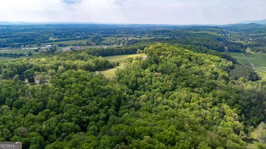 0 Bicentennial Trail, Rock Spring, GA 30739 - #3