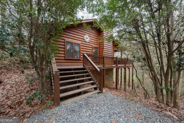 1165 Little Bushy Head Road #220, Blue Ridge, GA 30513