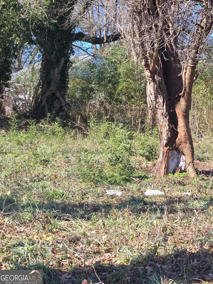 0 Morris Brown Drive Sw, Atlanta, GA 30314 - Image #3