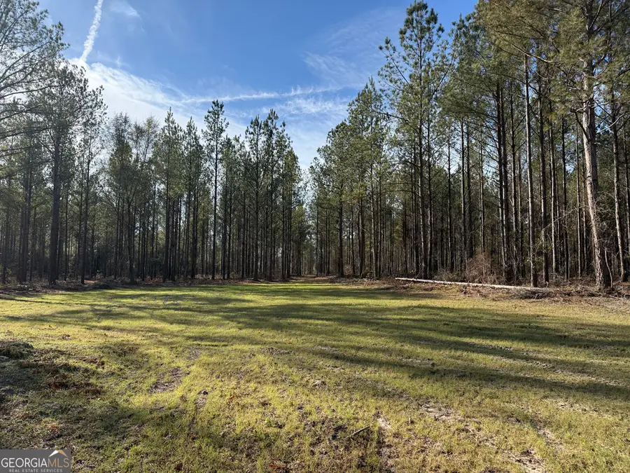 TRUSLOW EAST New Hopewell Church Road, Jeffersonville, GA 31044 - #3