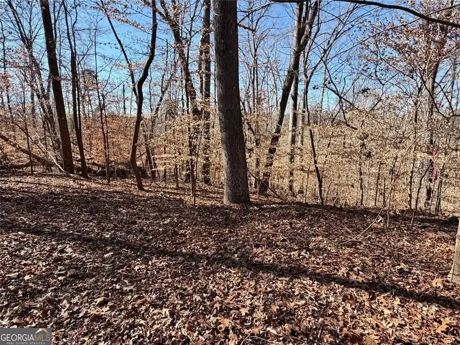 0 Arrowhead Court #227, Lavonia, GA 30553 - #2