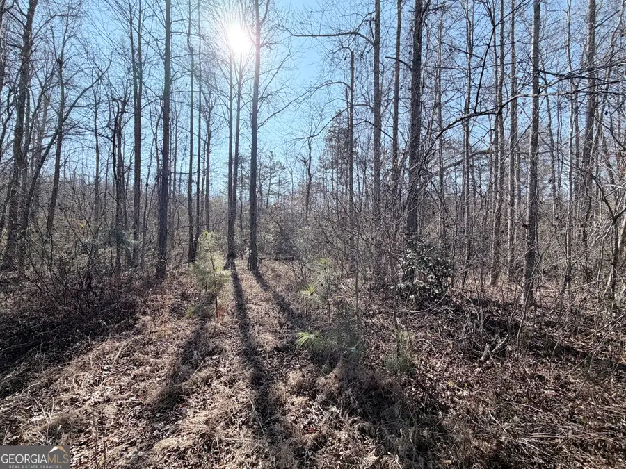 0 New Hope Road, Toccoa, GA 30577 - #3