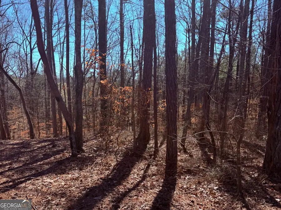 2487 S Carroll Court, Villa Rica, GA 30180 - #3