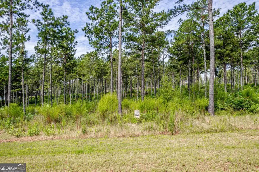 302 Wind Rock Ridge, Milledgeville, GA 31061 - #3