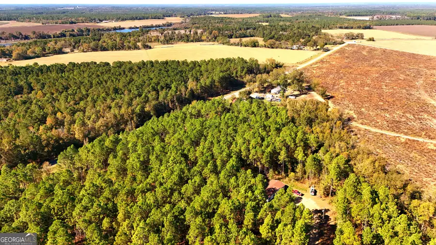 LOT 2 Middle Ground Church Road, Chester, GA 31012 - #3