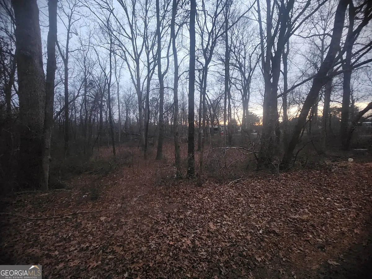 160 Tanglewood Lane, Hartwell, GA 30643 - #1