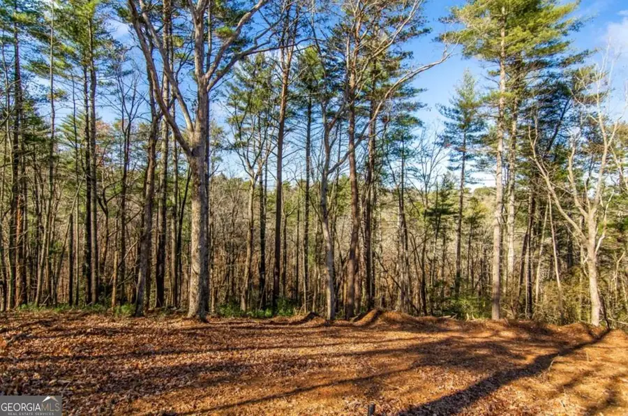 LT 10R Whispering Oaks Drive #10R, Ellijay, GA 30540 - Image #3