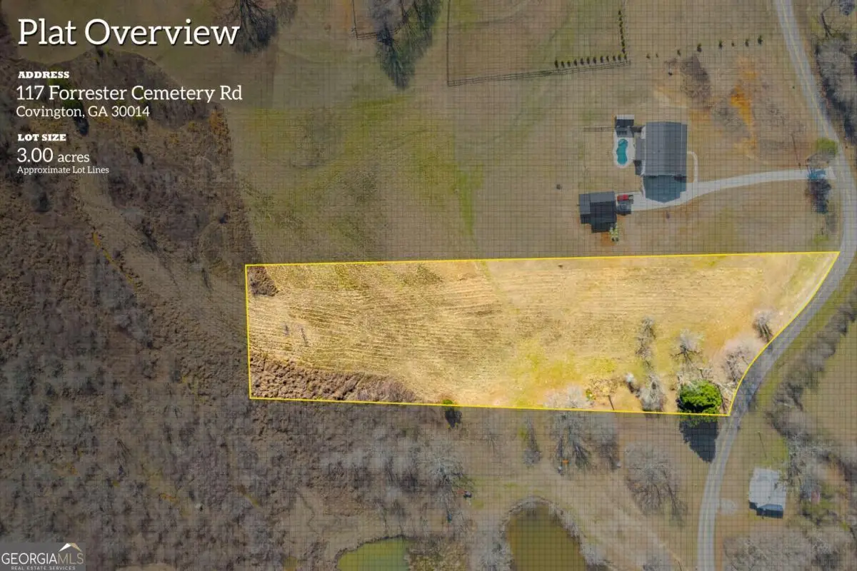 0 Forrester Cemetery Road, Covington, GA 30014 - Image #1