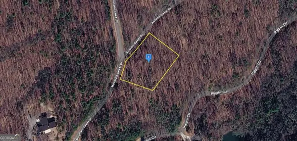 124 Autumn Sweet Drive, Clarkesville, GA 30523