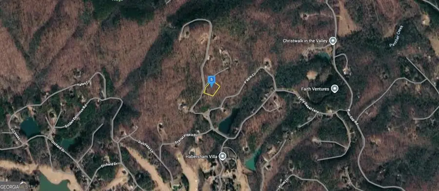 124 Autumn Sweet Drive, Clarkesville, GA 30523 - #2