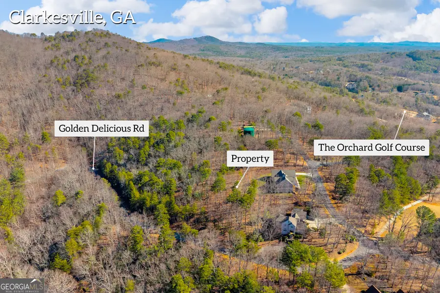 0 Golden Delicious Road, Clarkesville, GA 30523 - #3