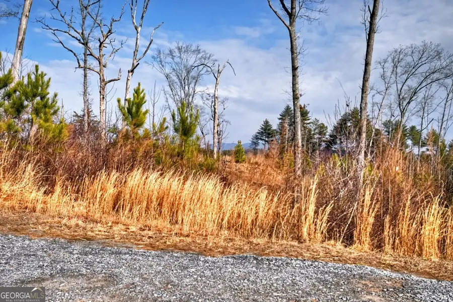 28 Mountaintown Overlook, Ellijay, GA 30540 - #2