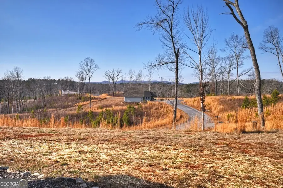 28 Mountaintown Overlook, Ellijay, GA 30540 - #3