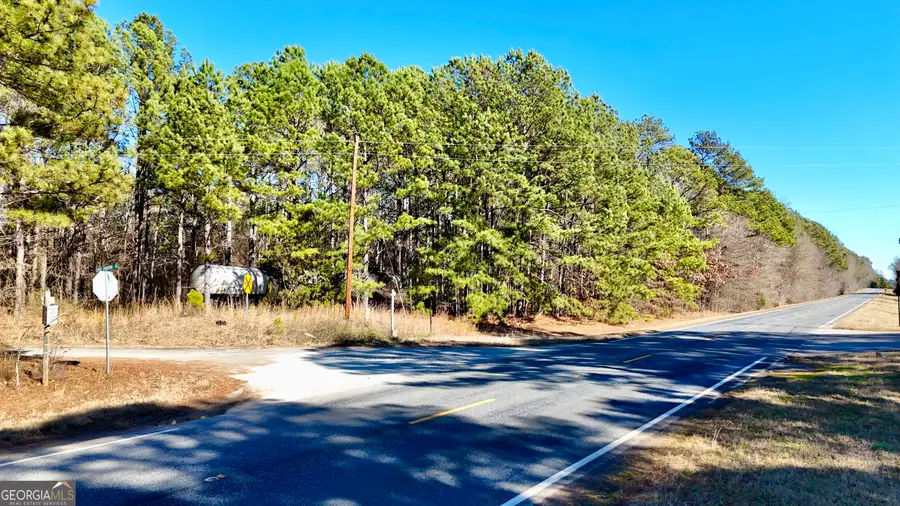 0 Highway 142, Newborn, GA 30056 - #3