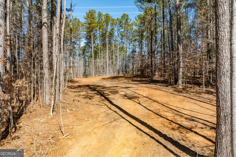 0 Burnt Hickory Road, Acworth, GA 30101 - #3