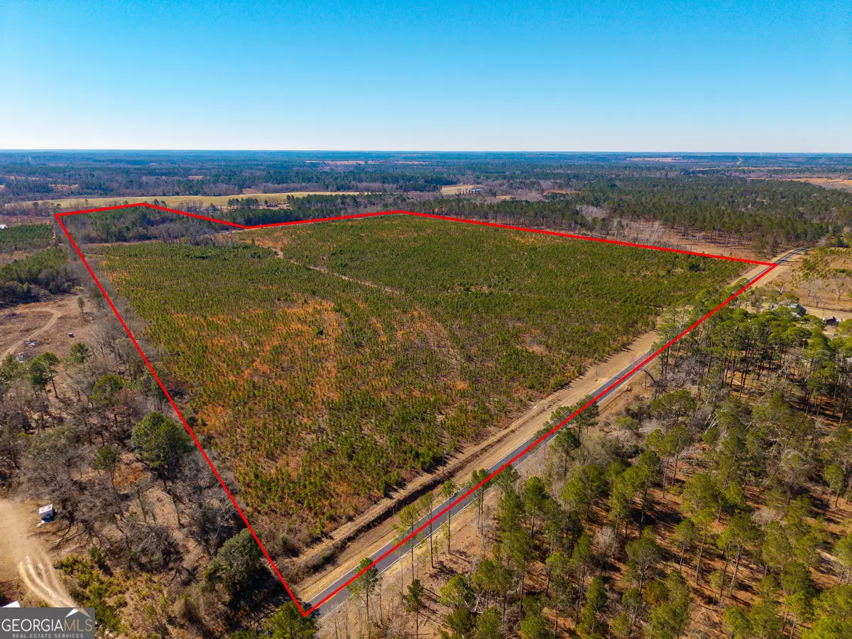 2527 Henry Moxley Road, Cobbtown, GA 30420 - #1