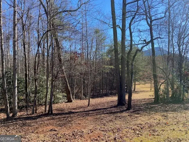 0 Whippoorwill Lane, Cleveland, GA 30528 - #2