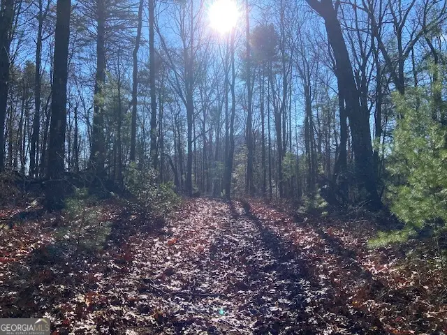 0 Whippoorwill Lane, Cleveland, GA 30528 - #3