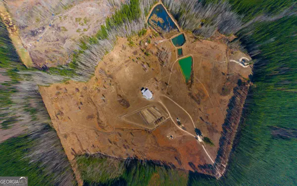 1039 Womack Road N, Garfield, GA 30425