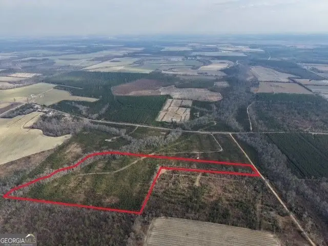 1 Dodges Chapel Road, Lumber City, GA 31549 - #1