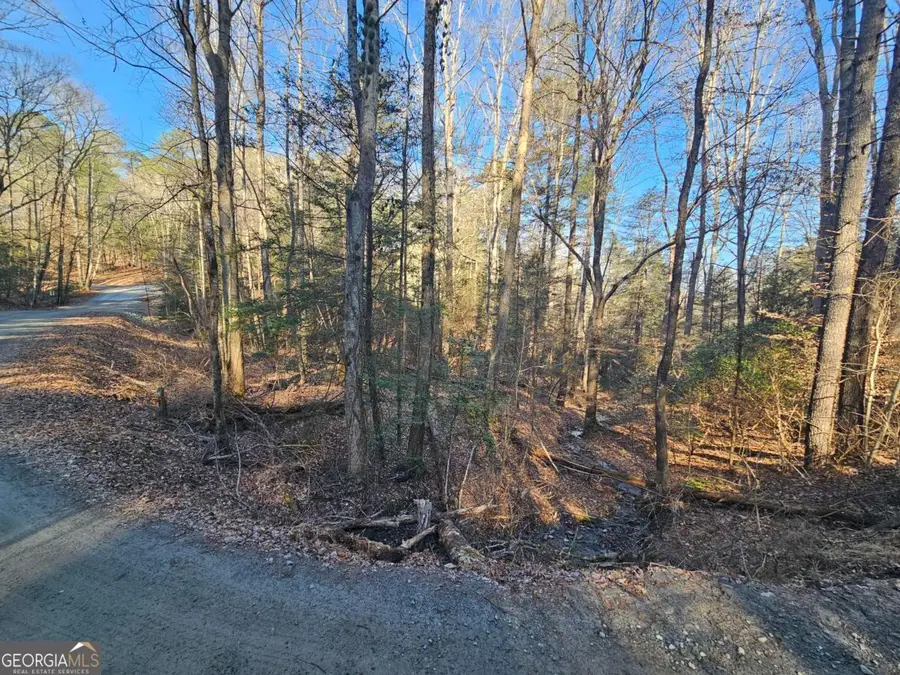 LT 1620 Nexus Drive, Ellijay, GA 30540 - #3