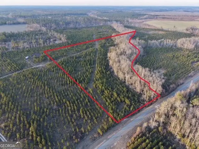 4 Powell School Road, Lumber City, GA 31549 - #2