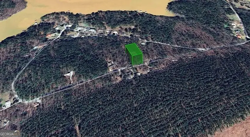 0 Lbk Road #32C, Tignall, GA 30668 - #2