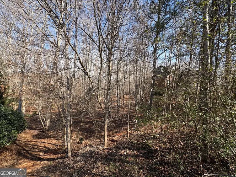 4322 Heather Lane, Bogart, GA 30622 - #3