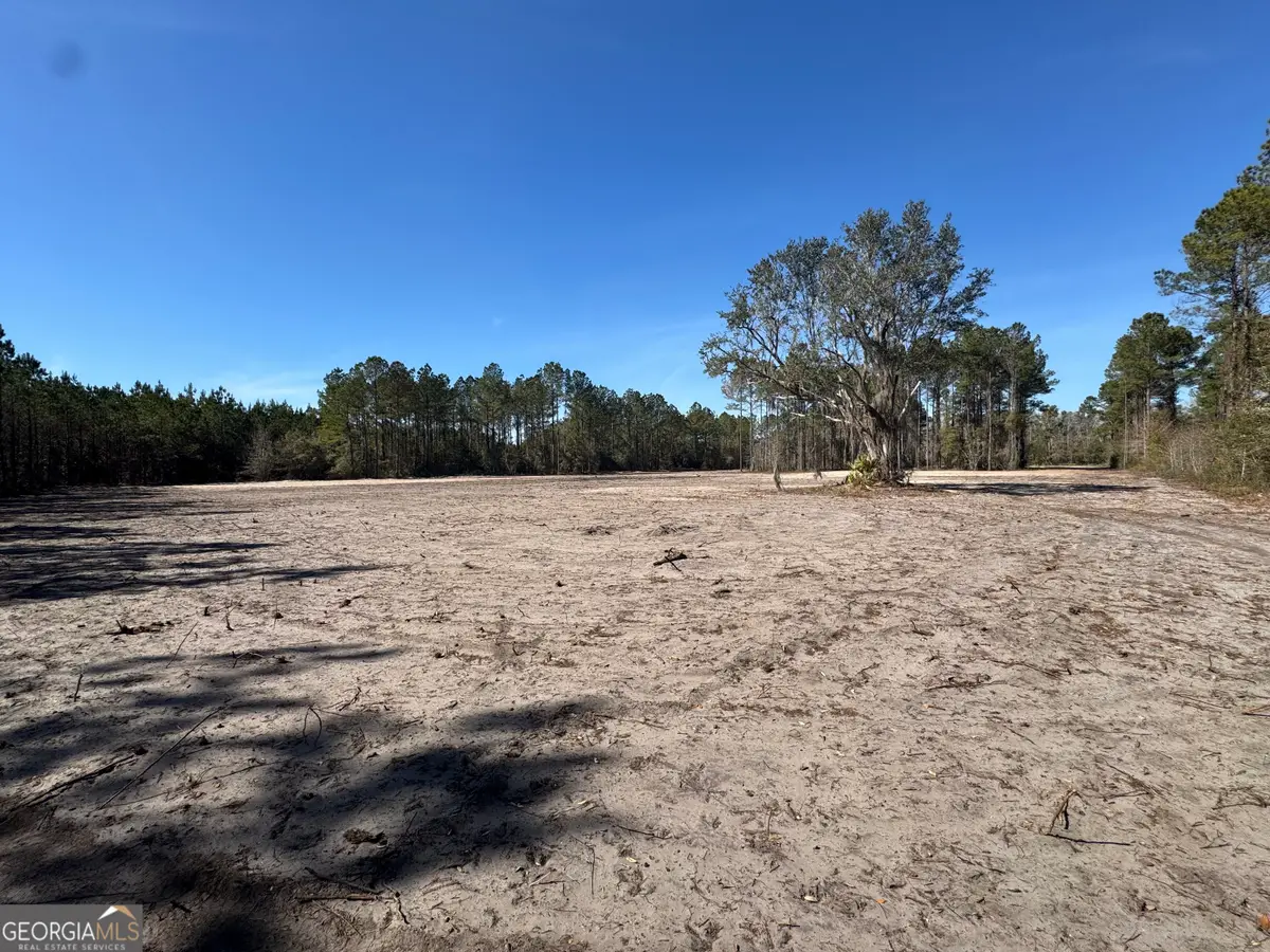 0 Hawthorne Road Ne, Townsend, GA 31331 - #1