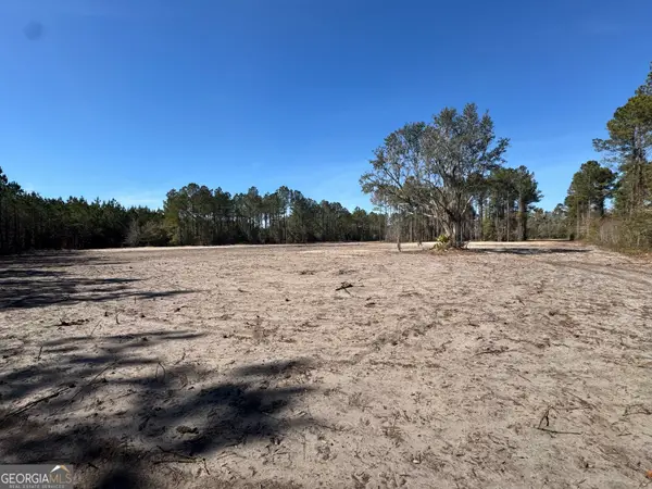 0 Hawthorne Road Ne, Townsend, GA 31331