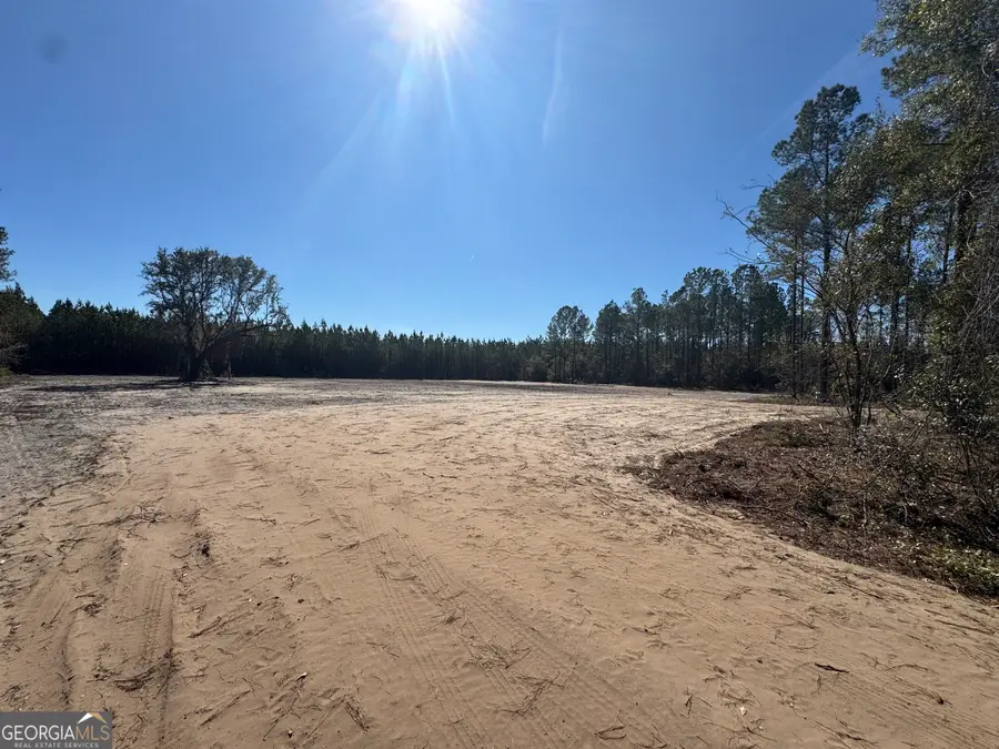 0 Hawthorne Road Ne, Townsend, GA 31331 - #3