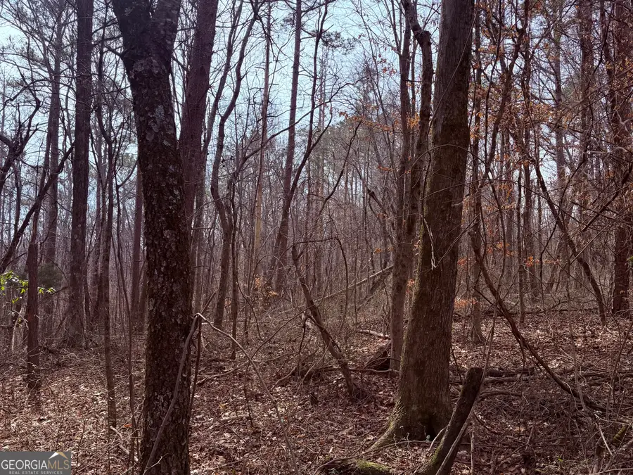 967 Old Highway 100, Waco, GA 30182 - #2