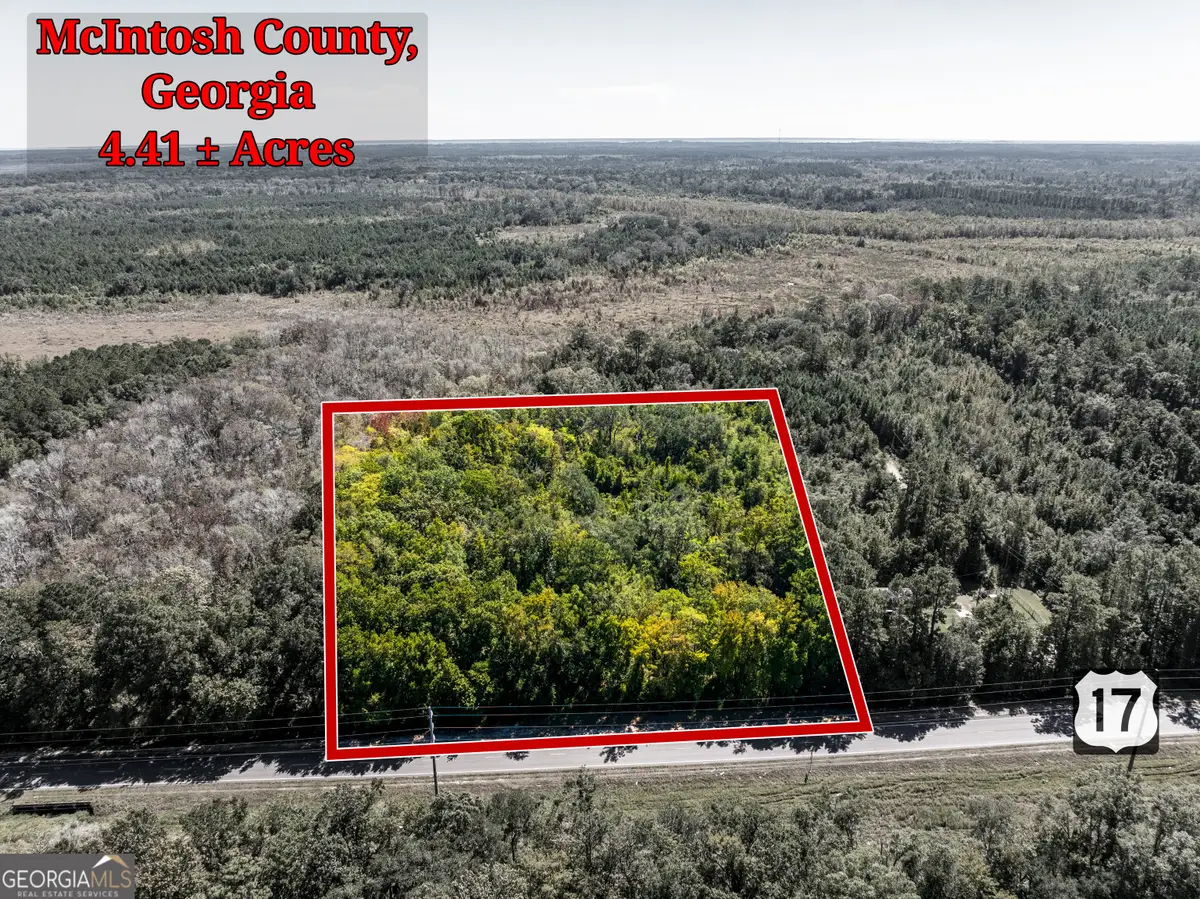 4.41 ACRES Highway 17, Townsend, GA 31331 - #1