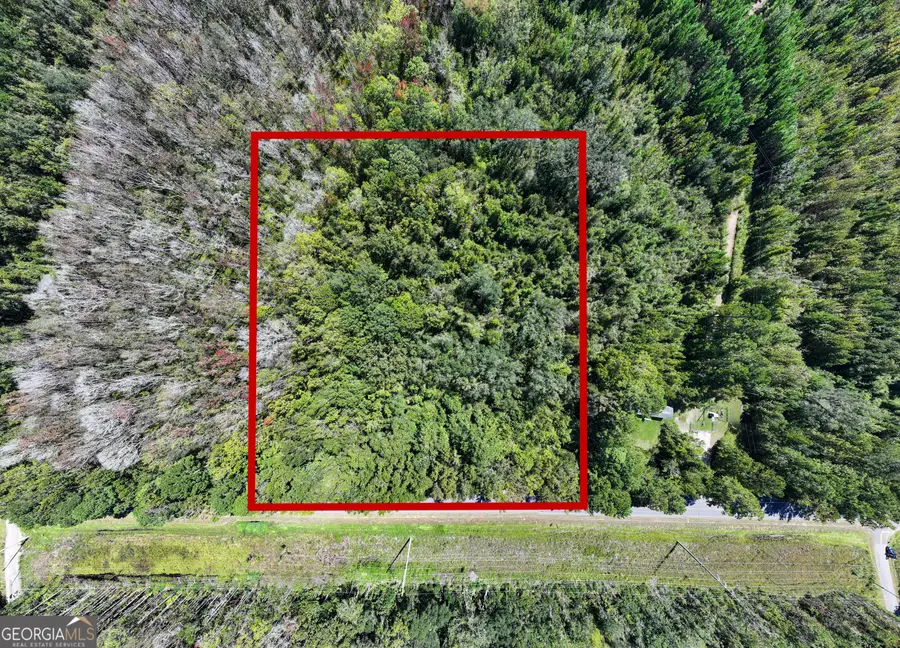 4.41 ACRES Highway 17, Townsend, GA 31331 - #3