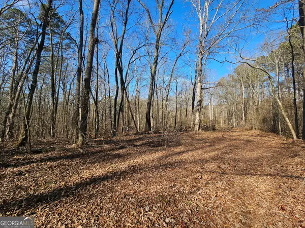 LOT 2 Manning Gin Road, Winder, GA 30680