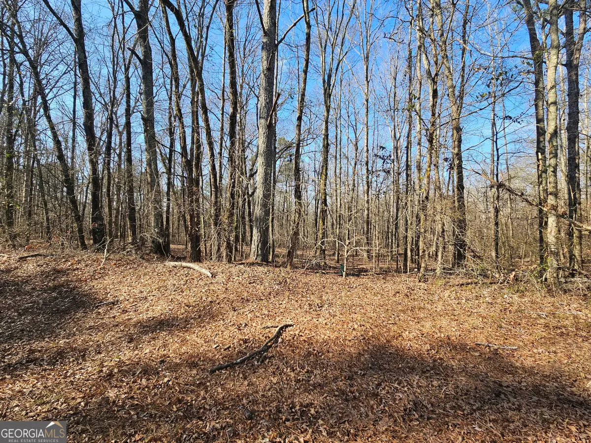 LOT 3 Manning Gin Road, Winder, GA 30680 - #1