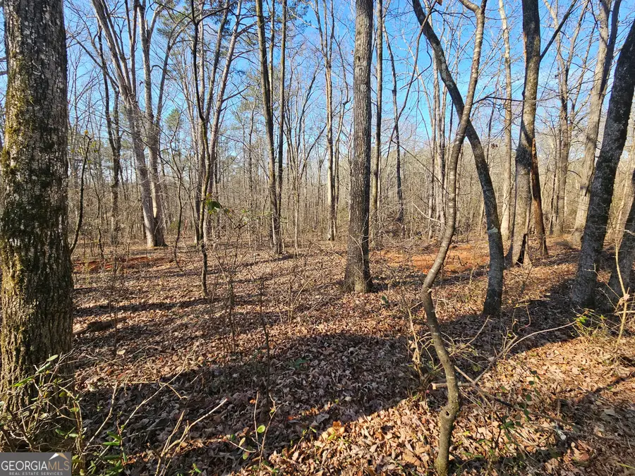 LOT 4 Manning Gin Road, Winder, GA 30680 - #2