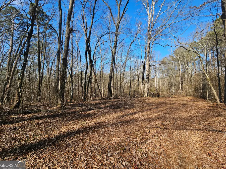 LOT 4 Manning Gin Road, Winder, GA 30680 - #3