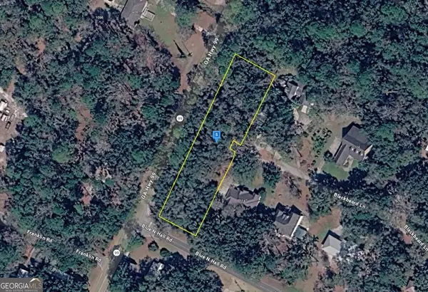 1200 Blackbeard Lane, Darien, GA 31305