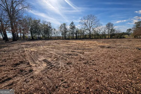 4539 Lewis Church Road, Millen, GA 30442