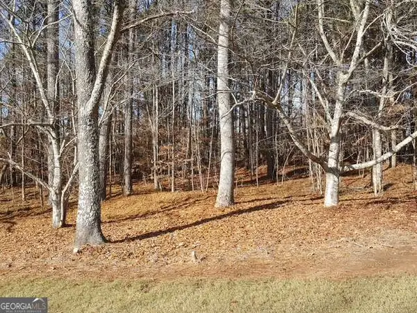 104 Hawks Court, Ball Ground, GA 30107