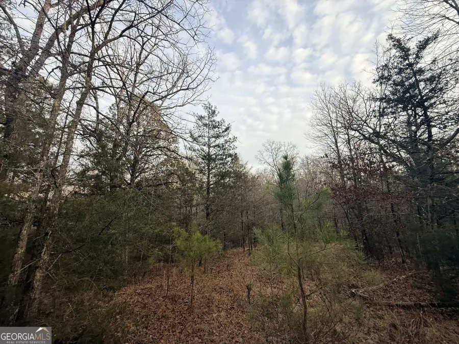 62 Reynolds Road, Washington, GA 30673 - Image #2