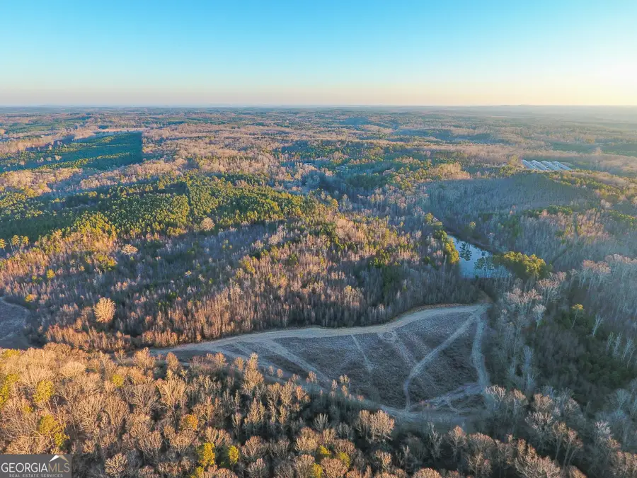 0 Wildcat Road, Buchanan, GA 30113 - #2