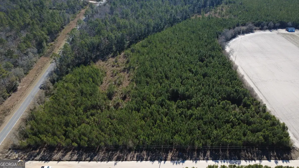 TRACT 2 Greyhound Road, Mershon, GA 31551 - #1