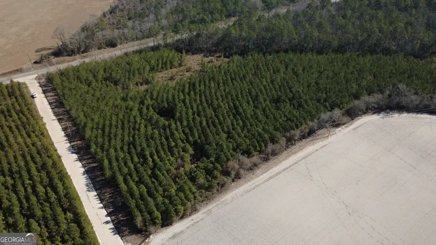 TRACT 2 Greyhound Road, Mershon, GA 31551 - #2