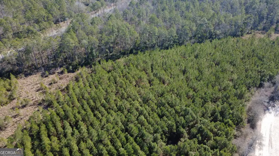 TRACT 2 Greyhound Road, Mershon, GA 31551 - #3