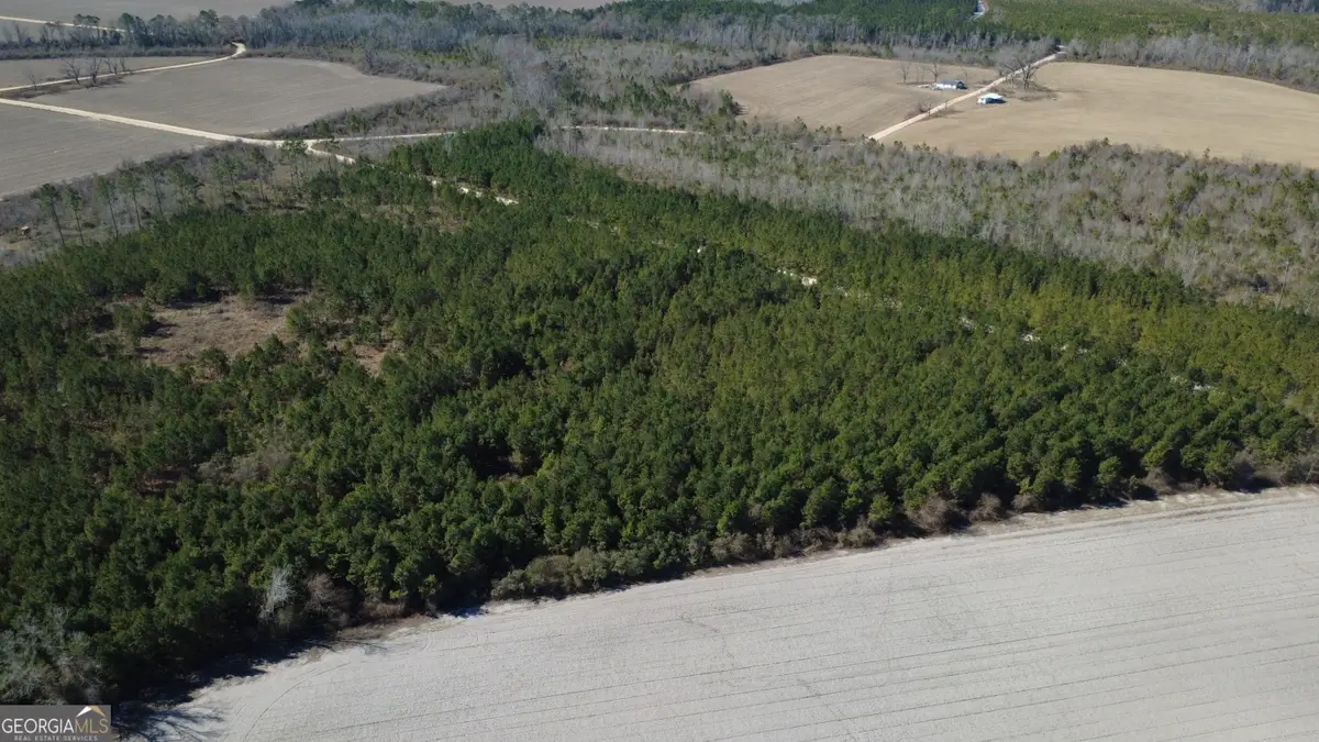 TRACT 3 Greyhound Road, Mershon, GA 31551 - #1