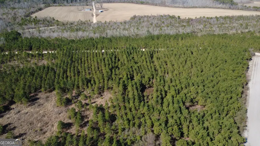 TRACT 3 Greyhound Road, Mershon, GA 31551 - #2